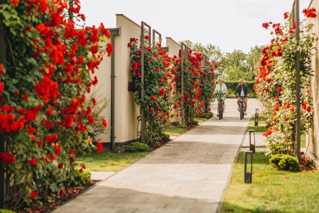 San Servolo Wellness Homes Buje Exterior photo